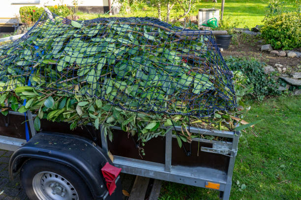 Best Estate Cleanout  in Ellsworth, ME